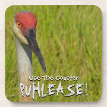 Insistent Sand Hill Crane