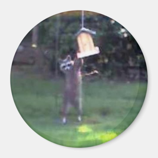 Inspecteur Raccoon Magneet (Voorkant)