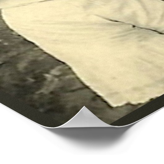 Inspectie Poster (Hoek)