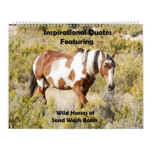 Inspectieve offertes met wilde paarden kalender