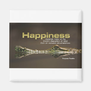 Inspiratie Benjamin Franklin III Magneet