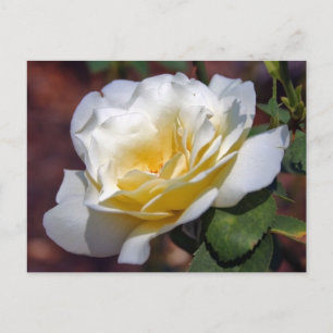 Inspiratie Blooming Briefkaart