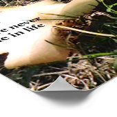 Inspiratie door Natuur Poster (Hoek)