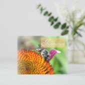 Inspiratie Echinacea en Bee Post Kaart (Staand voorkant)