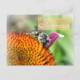 Inspiratie Echinacea en Bee Post Kaart