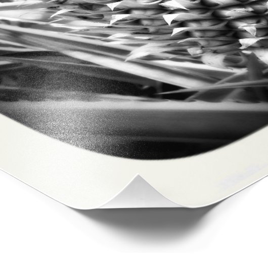 Inspiratie-flits Foto Afdruk (Hoek)