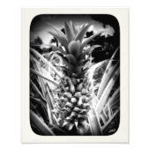 Inspiratie-flits Foto Afdruk (Voorkant)