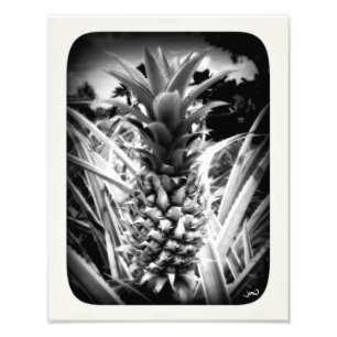 Inspiratie-flits Foto Afdruk