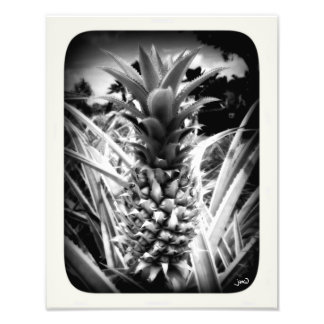 Inspiratie-flits Foto Afdruk