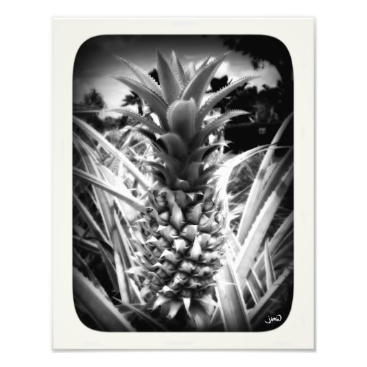 Inspiratie-flits Foto Afdruk (Voorkant)