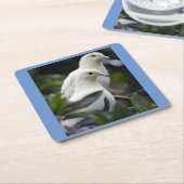 Inspiratie Kartonnen Onderzetters (Schuin)