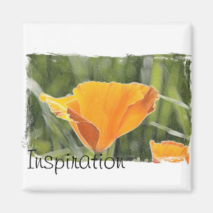 Inspiratie Magneet