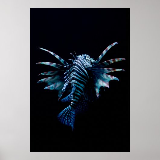 Inspiratie Poster (Voorkant)