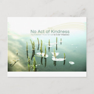 Inspiratie Quote — Aesop Briefkaart