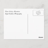 Inspiratie Schrift briefkaart herten Cades Cove (Achterkant)