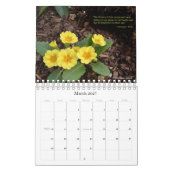 Inspiratie uit de tuin kalender (Mar 2027)