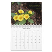 Inspiratie uit de tuin kalender (Mar 2026)