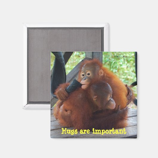 Inspiratie van baby's: knuffels zijn belangrijk magneet (Voorkant / Achterkant)