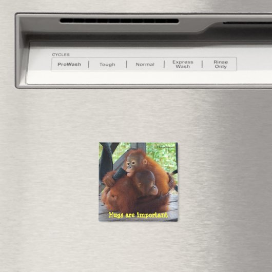 Inspiratie van baby's: knuffels zijn belangrijk magneet (Insitu (Vaatwasser))