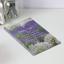 Inspiratief Gebed om Sereniteit Lavendel Tuin