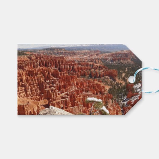 Inspiratiepunt bij Bryce Canyon I Cadeaulabel (Voorkant (Horizontaal))