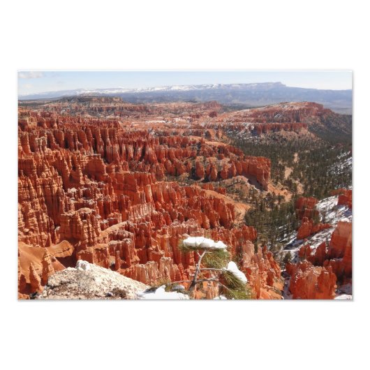 Inspiratiepunt bij Bryce Canyon I Foto Afdruk (Voorkant)