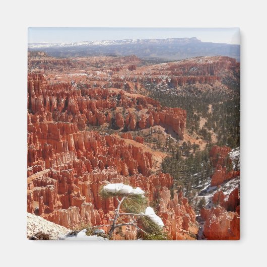 Inspiratiepunt bij Bryce Canyon I Magneet (Voorkant)