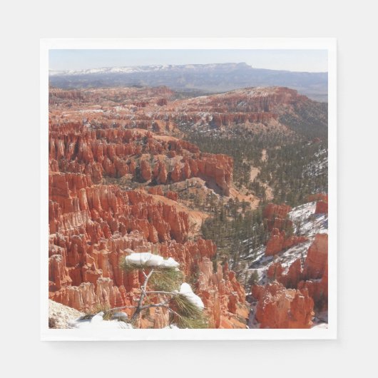 Inspiratiepunt bij Bryce Canyon I Servet (Voorkant)