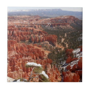 Inspiratiepunt bij Bryce Canyon I Tegeltje