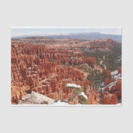 Inspiratiepunt bij Bryce Canyon I Tissuepapier (Voorkant)