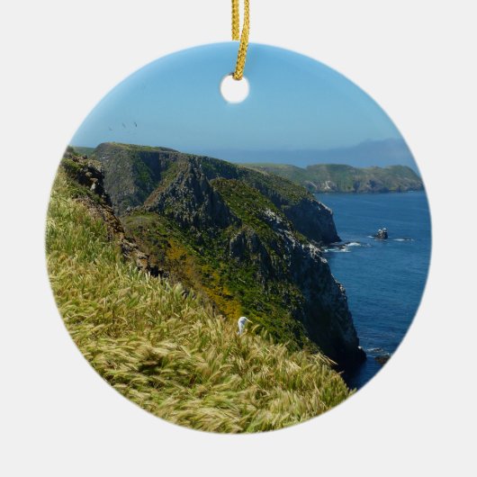 Inspiratiepunt II van Anacapa op de Kanaaleilanden Keramisch Ornament (Voorkant)