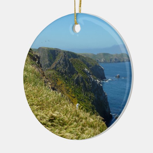 Inspiratiepunt II van Anacapa op de Kanaaleilanden Keramisch Ornament (Links)