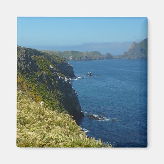 Inspiratiepunt II van Anacapa op de Kanaaleilanden Magneet (Voorkant)