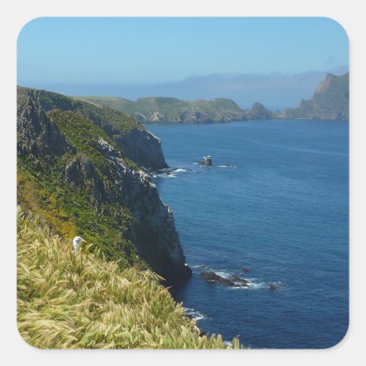 Inspiratiepunt II van Anacapa op de Kanaaleilanden Vierkante Sticker (Voorkant)
