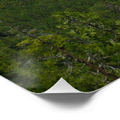 Inspiratiepunt in het Nationaal Park Yosemite Poster (Hoek)