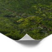 Inspiratiepunt in het Nationaal Park Yosemite Poster (Hoek)