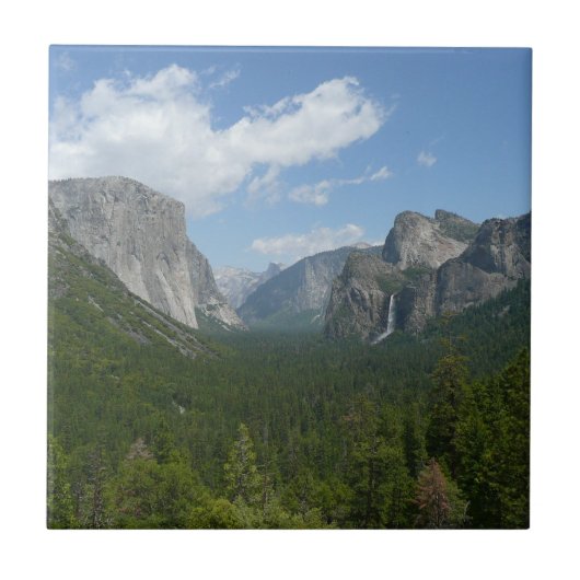 Inspiratiepunt in het Nationaal Park Yosemite Tegeltje (Voorkant)