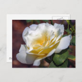 Inspiration Blooming Briefkaart (Voorkant / Achterkant)