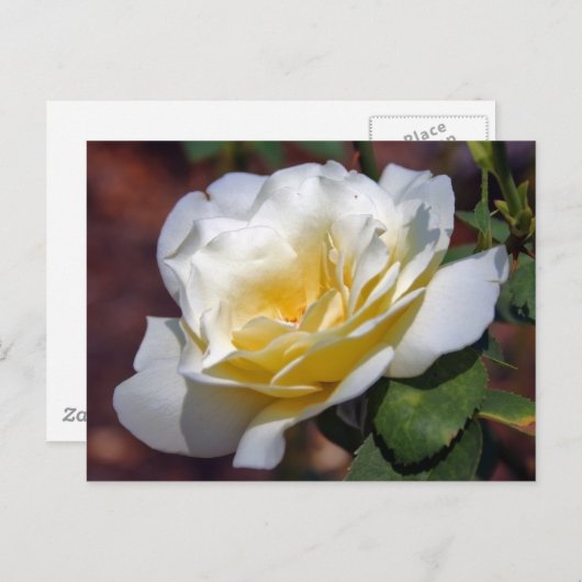 Inspiration Blooming Briefkaart (Voorkant / Achterkant)