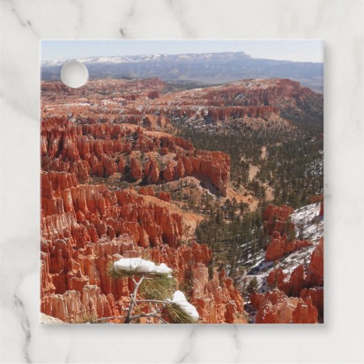 Inspiration Point bij Bryce Canyon I Bedankjes Labels (Voorkant)