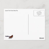 Inspiration Point in Yosemite National Park Briefkaart (Achterkant)