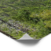 Inspiration Point in Yosemite National Park Poster (Hoek)