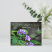 Inspiration scriptureflower briefkaart wildernis (Staand voorkant)