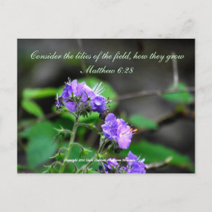 Inspiration scriptureflower briefkaart wildernis