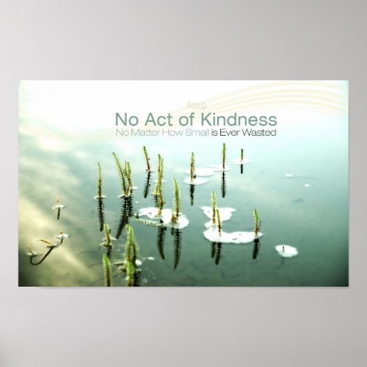Inspirational Kindness Quote by Aesop Poster (Voorkant)