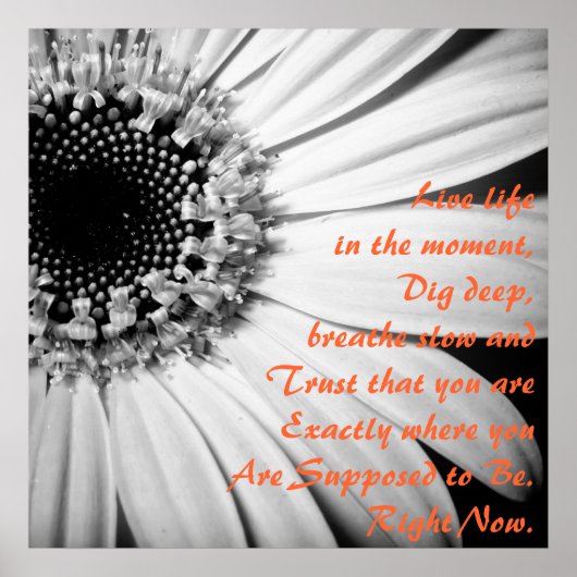 Inspirational Live Life in the Moment Poster (Voorkant)