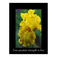 Inspirational Quote Iris Flower Poster