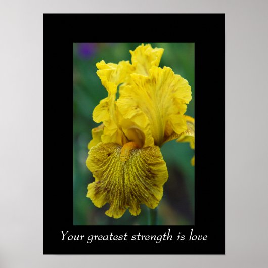 Inspirational Quote Iris Flower Poster (Voorkant)