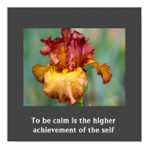 Inspirational Quote Poster