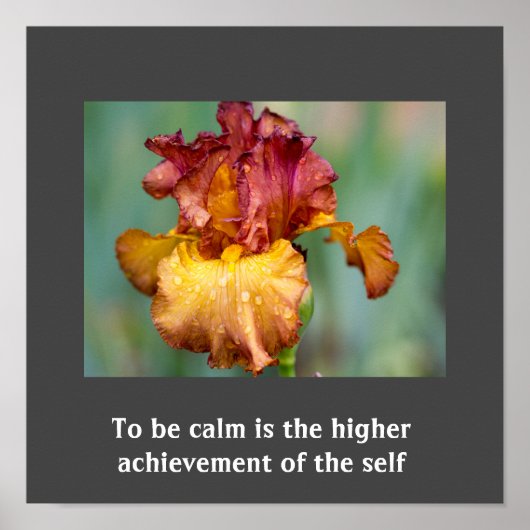 Inspirational Quote Poster (Voorkant)